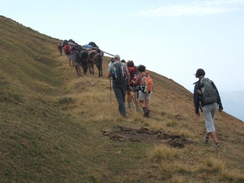 trekking con i muli-89.JPG